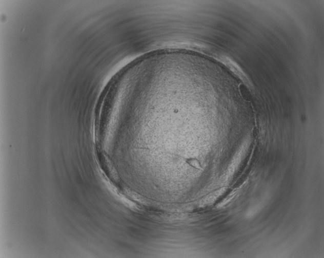 X0000066531036200603311815