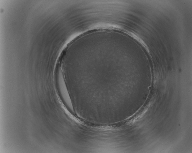 X0000066531037200603311815