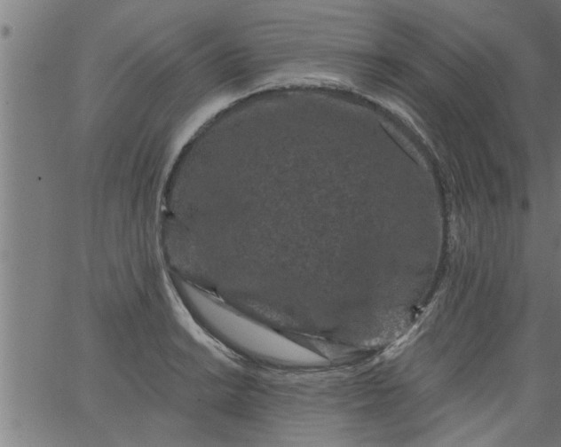 X0000066531038200603311815