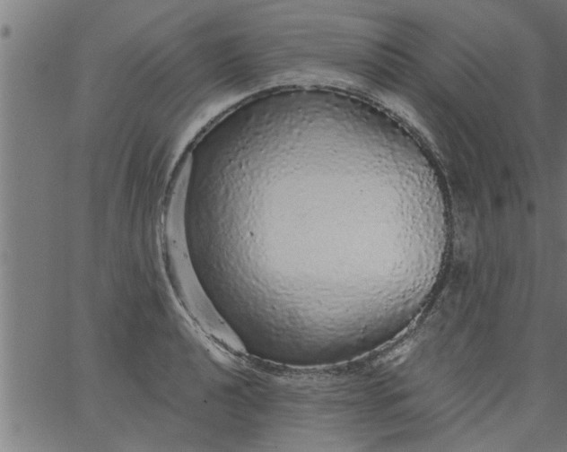 X0000066531040200603311815