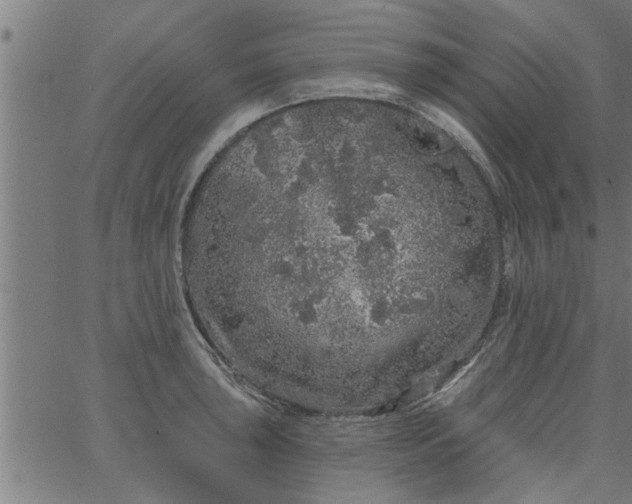 X0000066531043200603311815