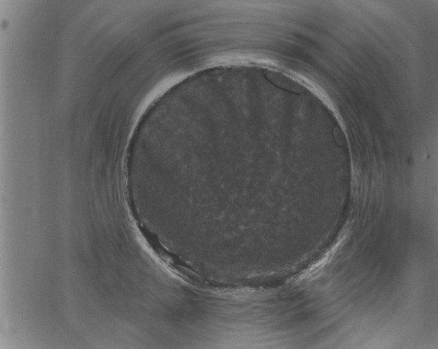 X0000066531045200603311815