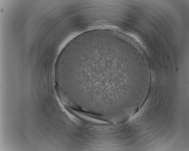 X0000066531046200603311815