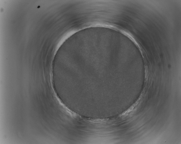 X0000066531048200603311815