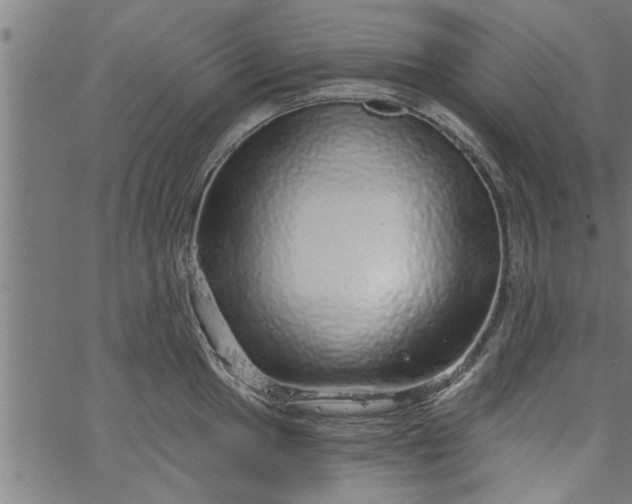 X0000066531049200603311815