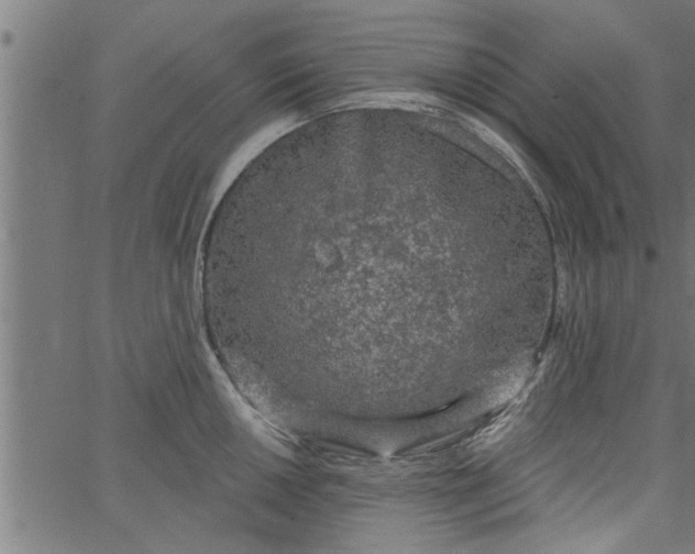 X0000066531050200603311815