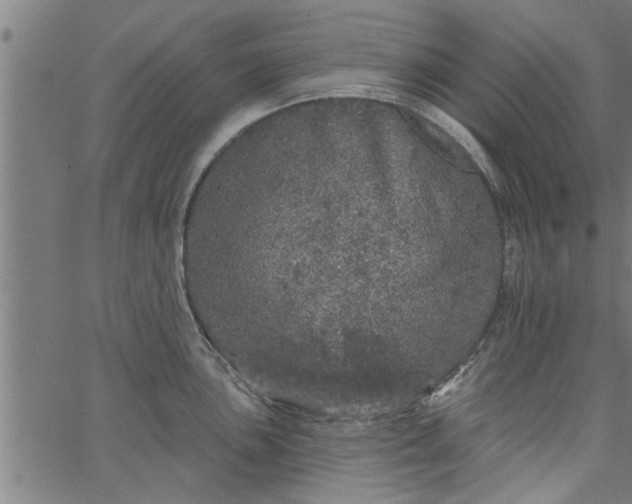 X0000066531051200603311815