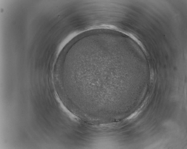 X0000066531054200603311815