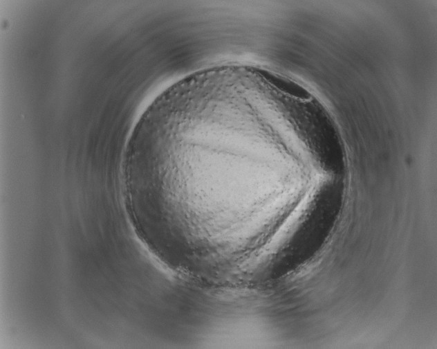 X0000066531056200603311815