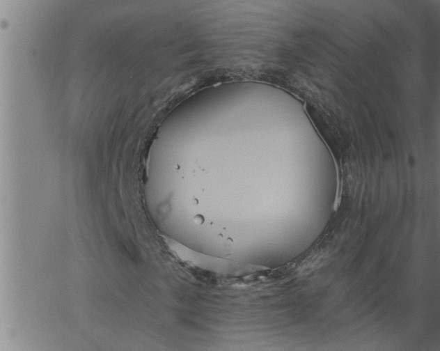 X0000066531057200603311814