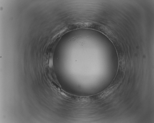 X0000066531058200603311814