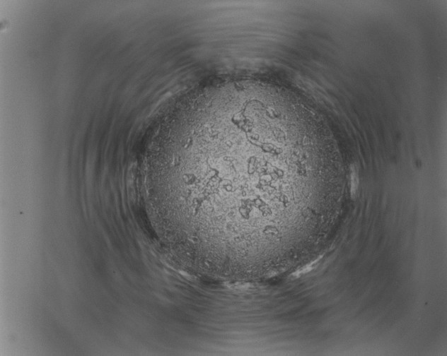 X0000066531059200603311814