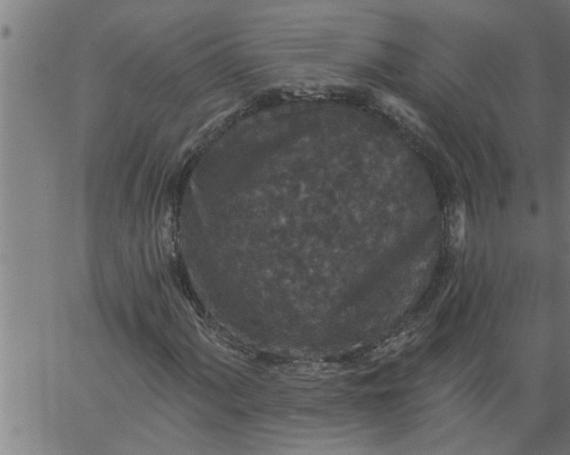 X0000066531060200603311814