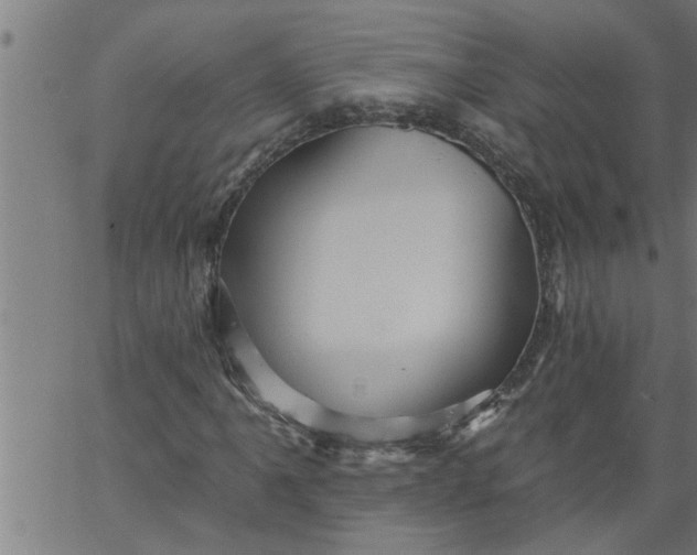 X0000066531061200603311814