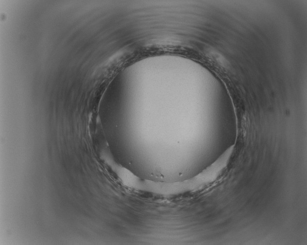 X0000066531062200603311814