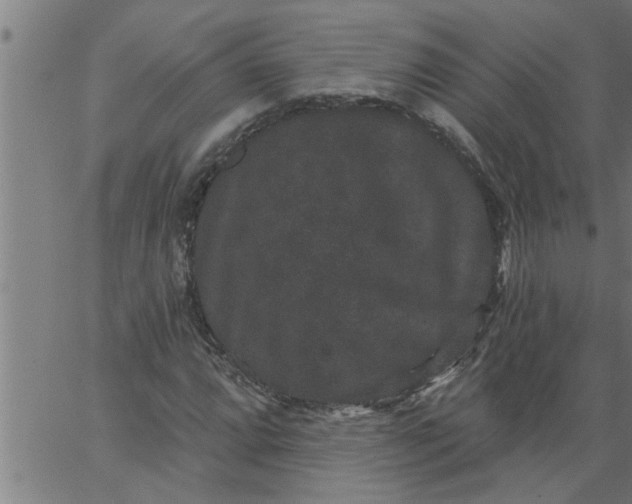 X0000066531064200603311814