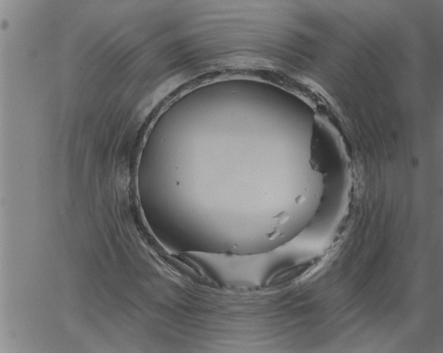 X0000066531065200603311814