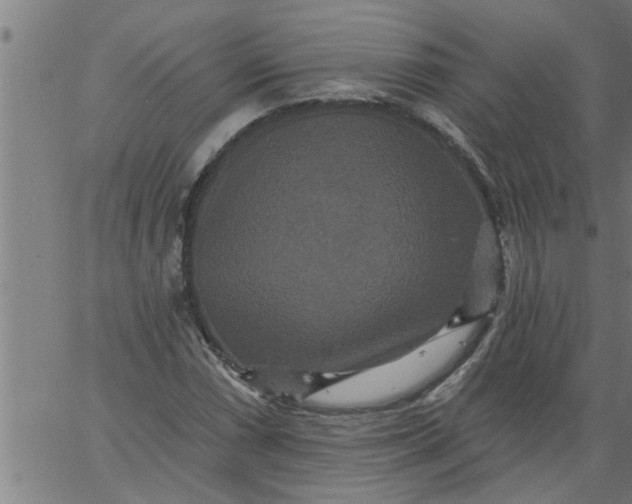 X0000066531066200603311814