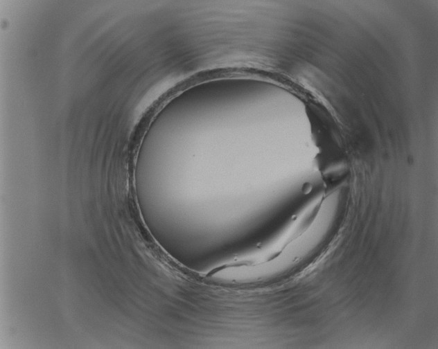 X0000066531069200603311814