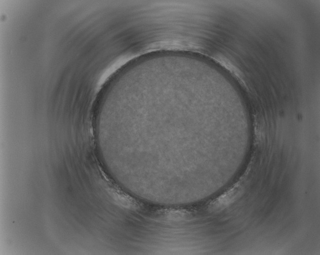 X0000066531070200603311814