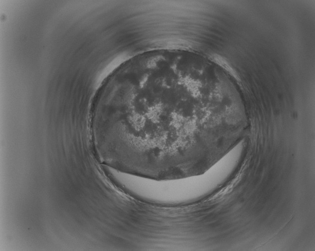 X0000066531071200603311814