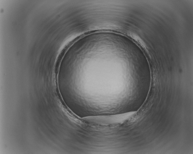 X0000066531072200603311814