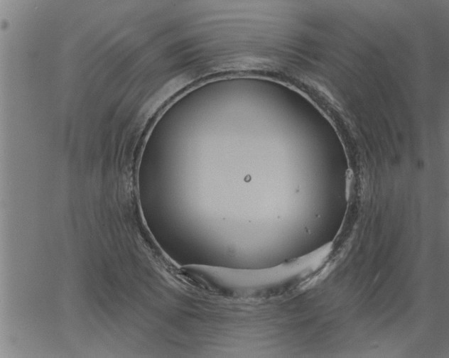 X0000066531073200603311814