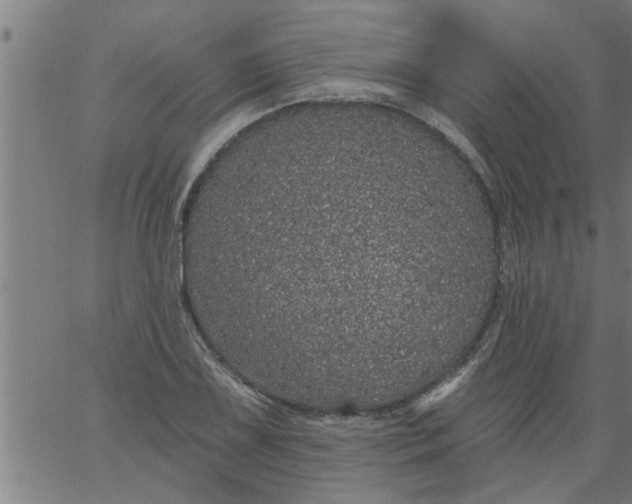 X0000066531075200603311814