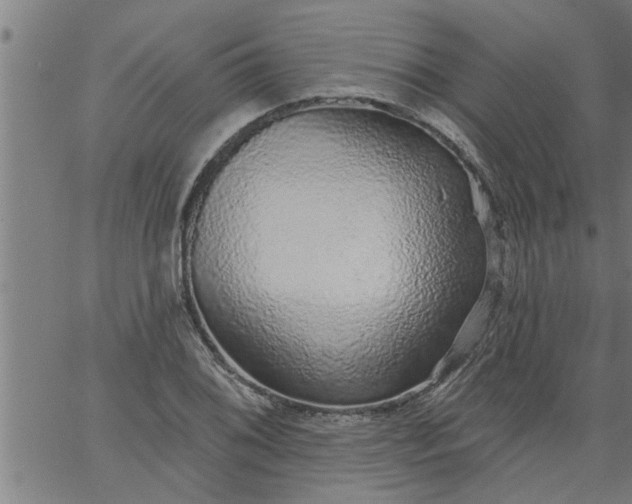 X0000066531076200603311814