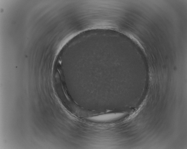 X0000066531077200603311814