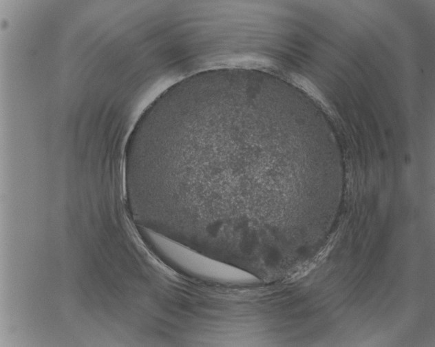 X0000066531079200603311814