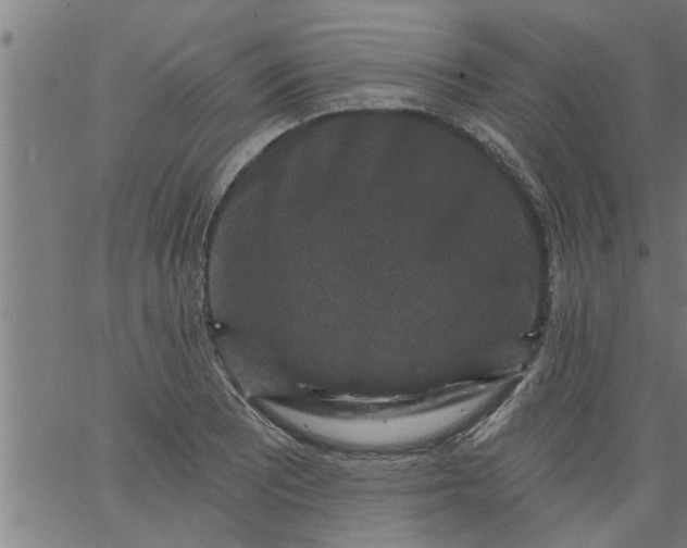 X0000066531081200603311814