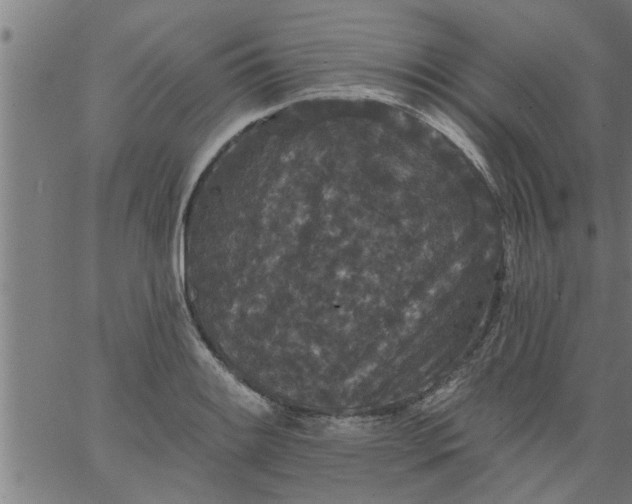 X0000066531084200603311814