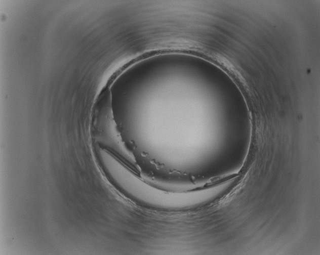 X0000066531085200603311814