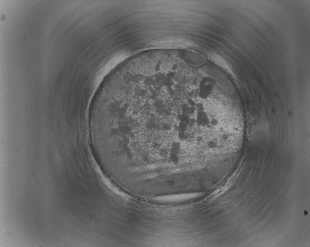 X0000066531087200603311814