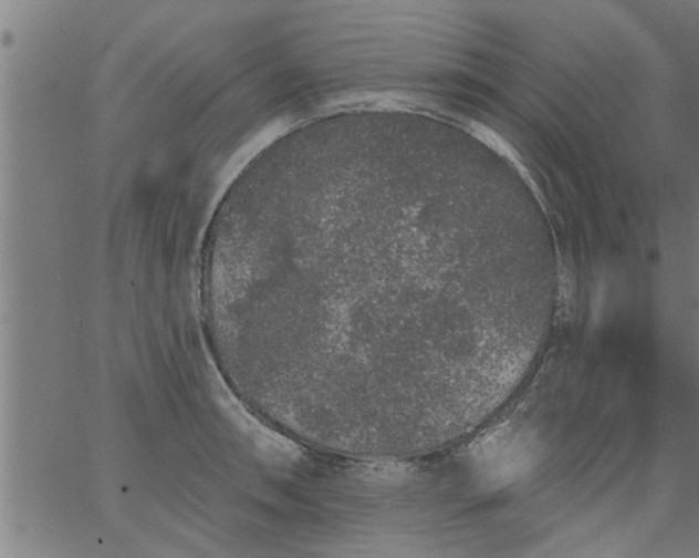 X0000066531090200603311814