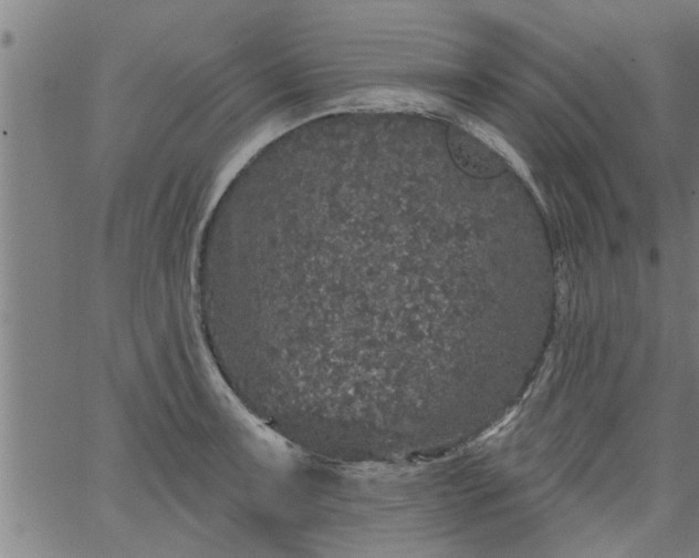 X0000066531091200603311814