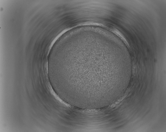 X0000066531092200603311814