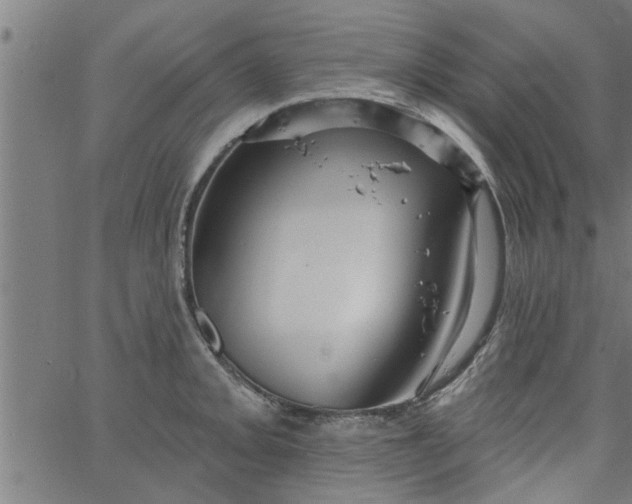 X0000066531093200603311814