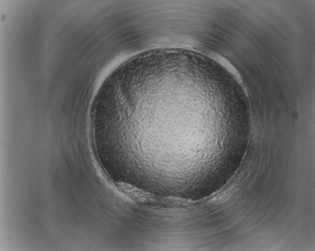 X0000066531096200603311814