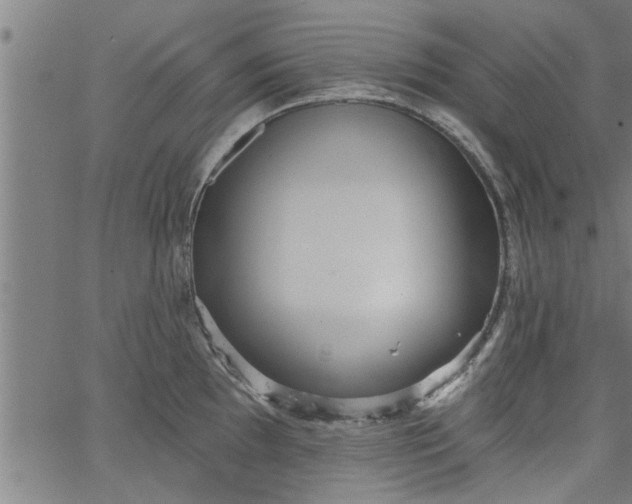 X0000066531097200603311814