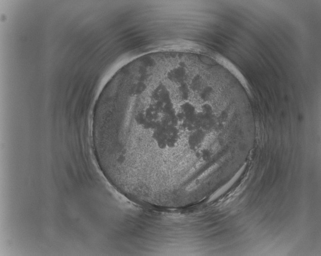 X0000066531099200603311814