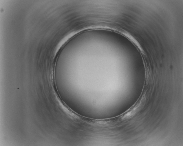 X0000066531101200603311813