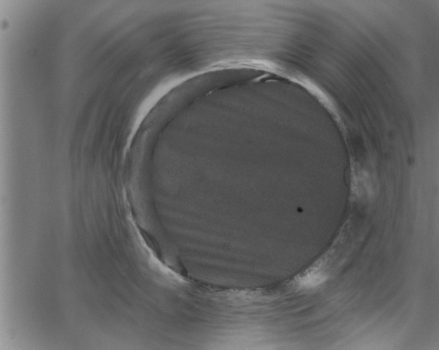 X0000066531102200603311813