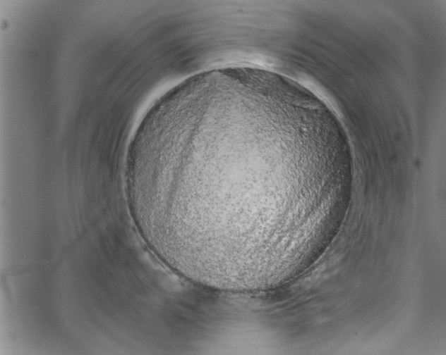 X0000066531104200603311813