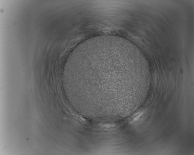 X0000066531105200603311813