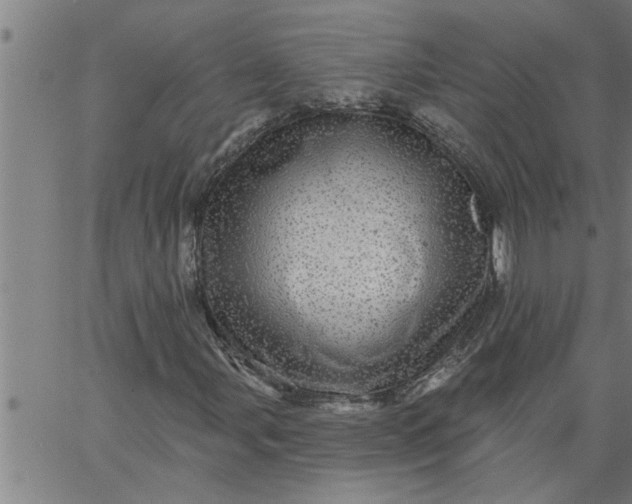 X0000066531107200603311813