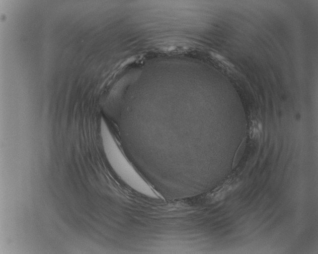 X0000066531108200603311813