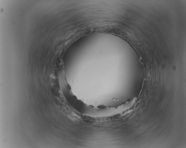 X0000066531109200603311813