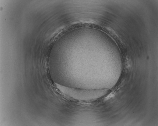 X0000066531110200603311813